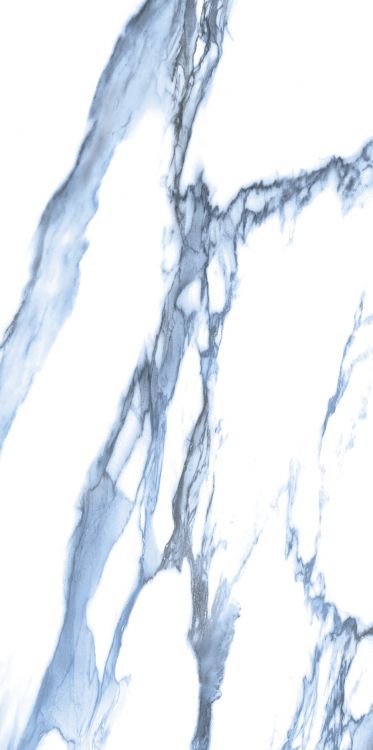 Calacatta Blue Polished 12 x 24